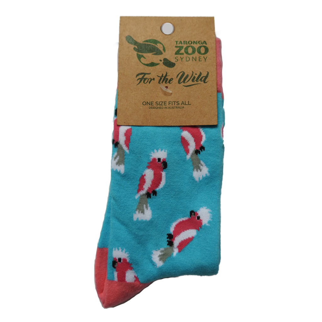 Galah Socks – Taronga Zoo Shop