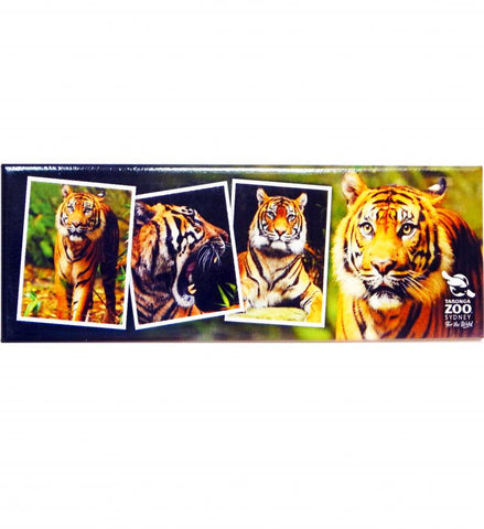Taronga Zoo Tiger Magnet
