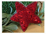 Christmas Star Decoration