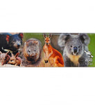 Taronga Zoo Australian Animal Magnet