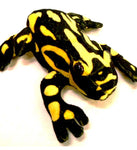 Corroboree Frog Soft Toy - Taronga Legacy Range