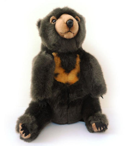 Sun Bear Soft Toy